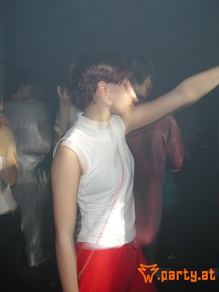 Bild 290