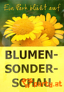 Bild 46