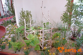 Bild 47