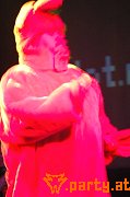 Bild 61