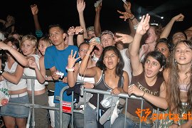 Bild 509