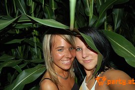 Bild 74