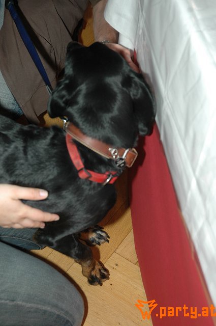 Bild 96