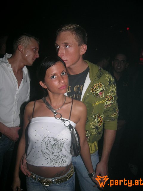 Bild 341