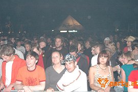 Bild 244