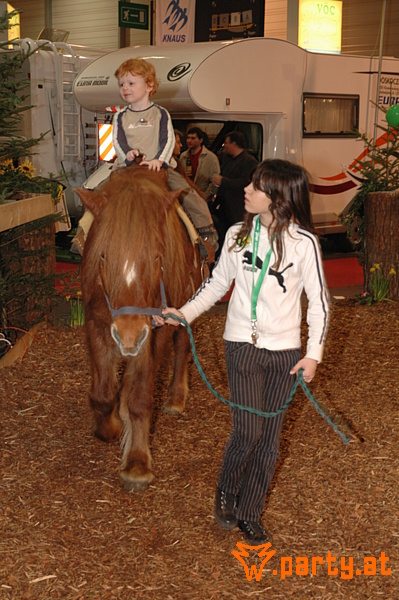 Bild 28