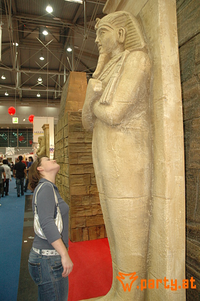 Bild 85