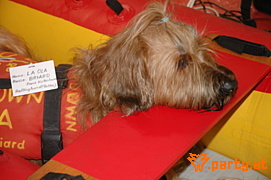 Bild 13