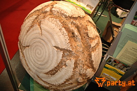 Bild 48