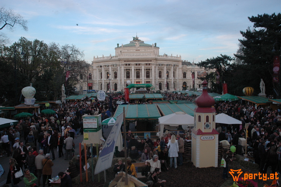 Bild 41