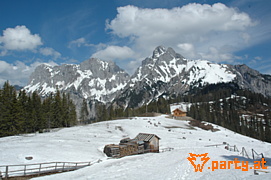Bild 19