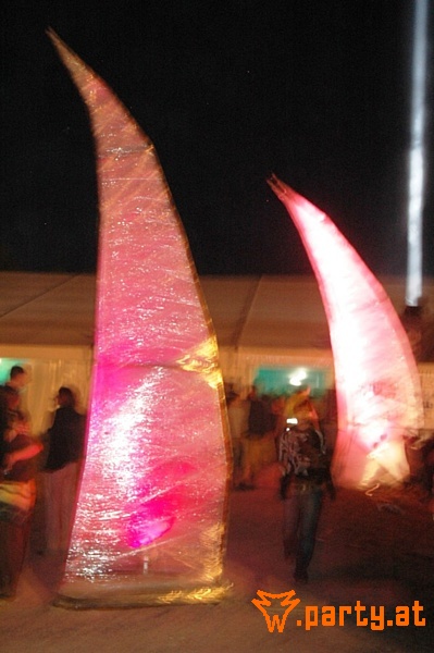 Bild 341