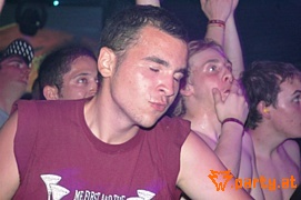 Bild 244