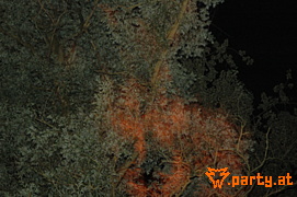 Bild 117