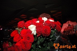 Bild 108