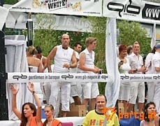 Bild 252