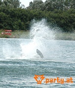 Bild 24