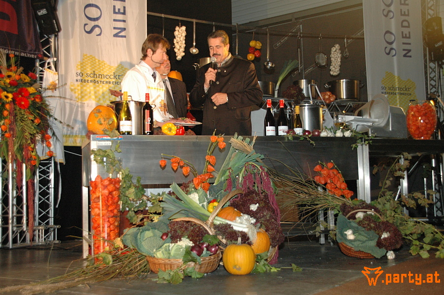 Bild 41