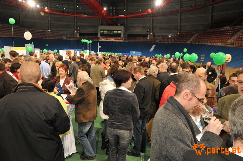 Bild 51