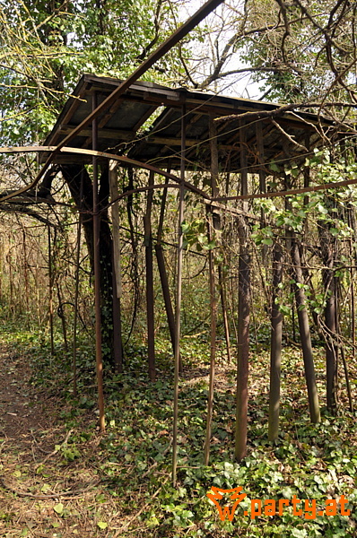 Bild 13