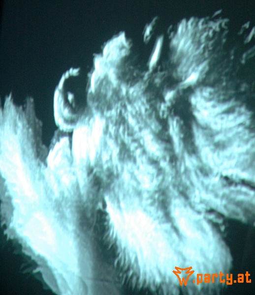 Bild 63