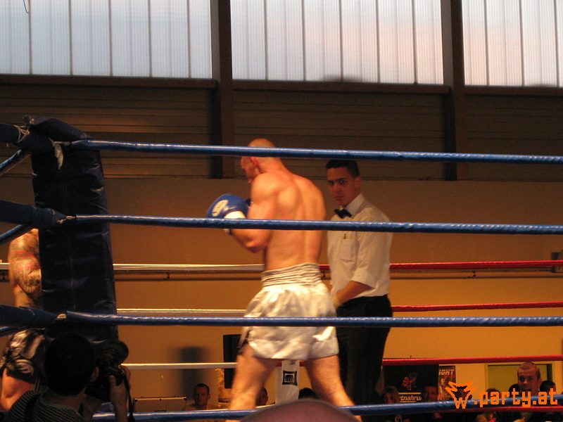 Bild 61