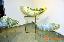 Bild 25