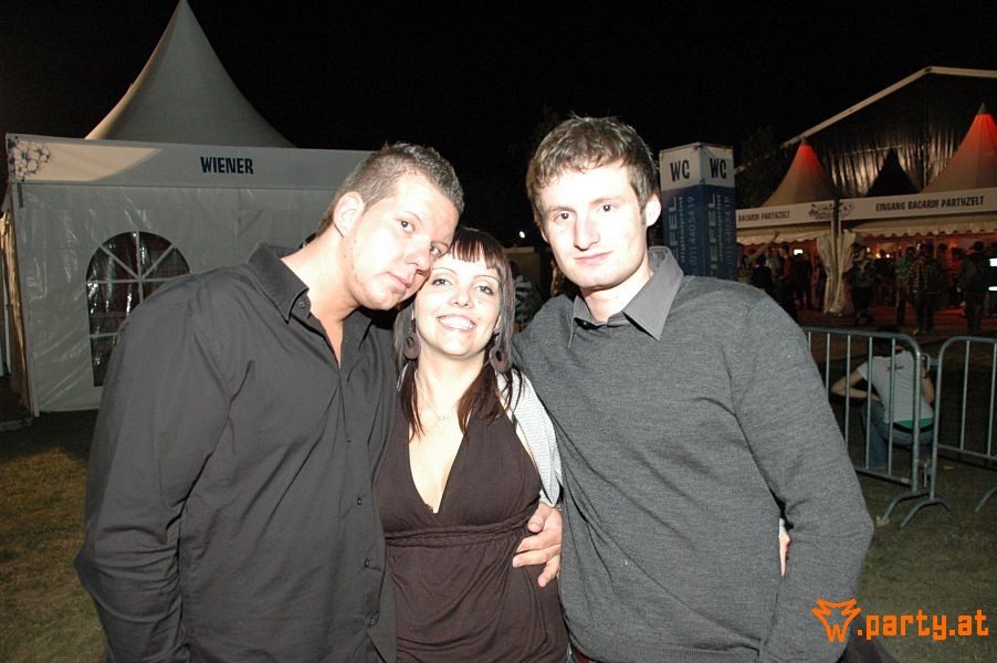Bild 223
