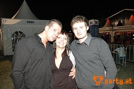 Bild 223