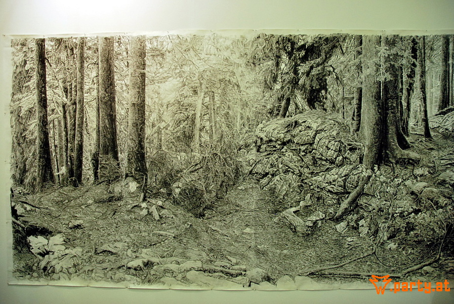 Bild 52