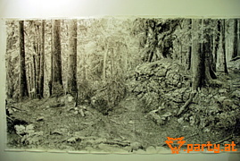 Bild 52