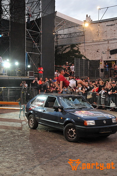 Bild 242