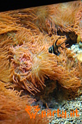Bild 73