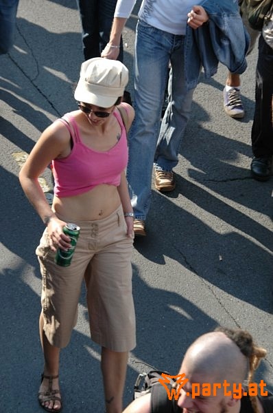 Bild 482