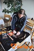 Bild 23