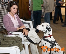 Bild 26