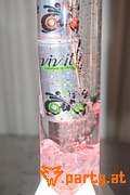 Bild 62