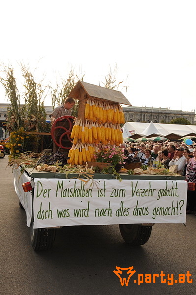 Bild 100