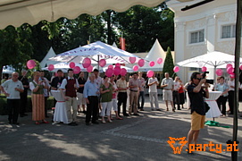 Bild 41