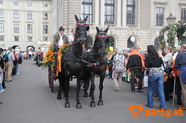 Bild 148