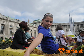 Bild 183