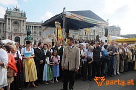Bild 184