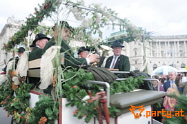 Bild 197
