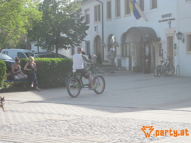 Bild 104