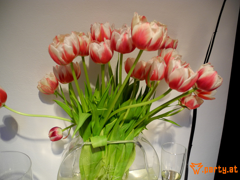 Bild 66