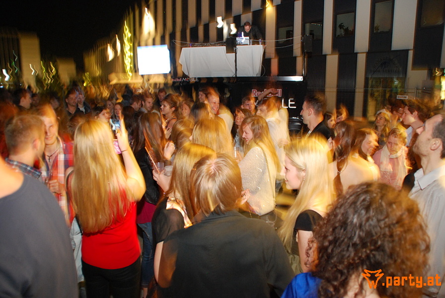 Bild 95