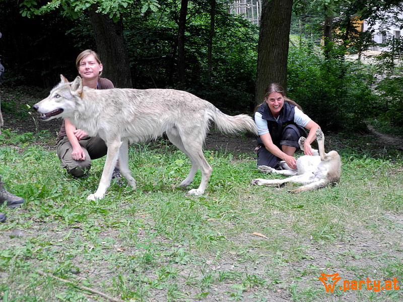 Bild 49