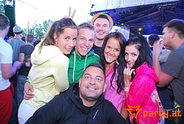 Bild 277