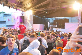 Bild 281