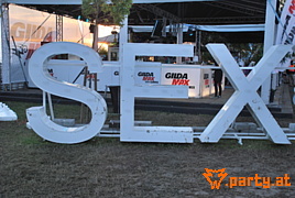 Bild 294